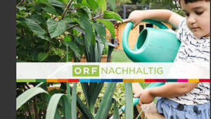 ORF Nachhaltigkeitsbericht 2021/2022, Nachhaltigkeit im ORF