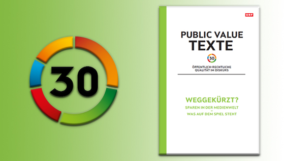 TEXTE 30: Weggek&uuml;rzt, Sparen in der Medienwelt - Was auf dem Spiel steht