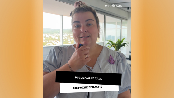 Public Value Dialog, Einfache Sprache